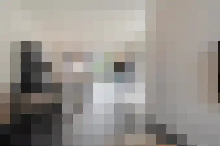 De Maten 15 Gramsbergen thumbnail 6