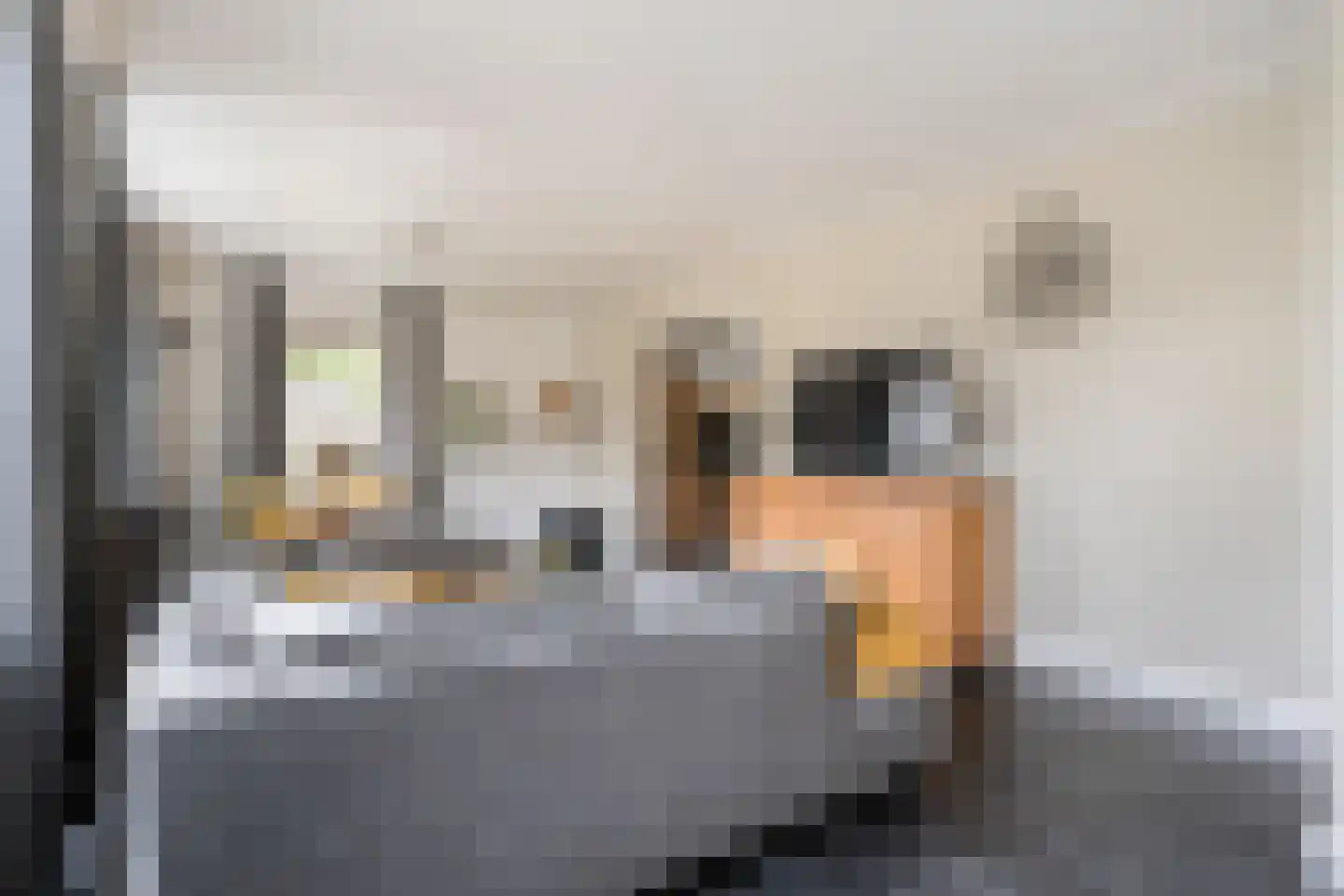 De Maten 2 Gramsbergen thumbnail 11