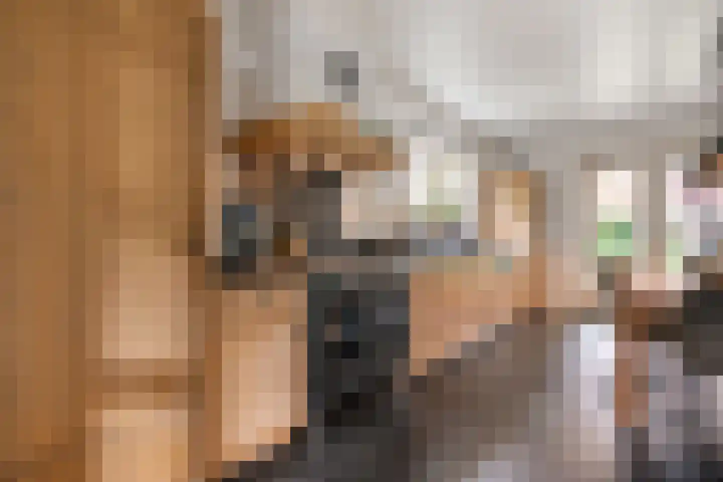 De Maten 2 Gramsbergen thumbnail 19