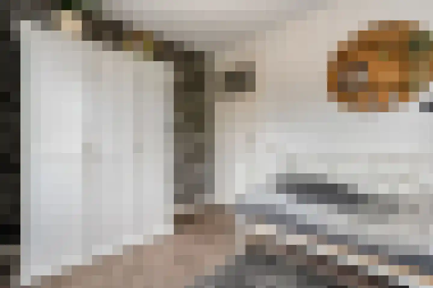 De Maten 2 Gramsbergen thumbnail 32