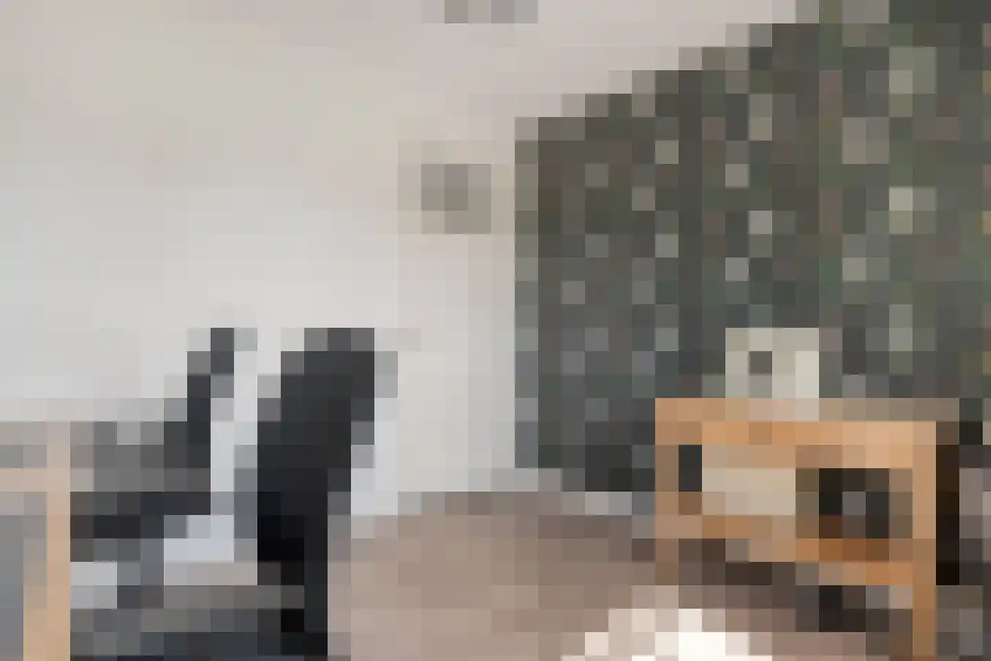 De Maten 2 Gramsbergen thumbnail 34