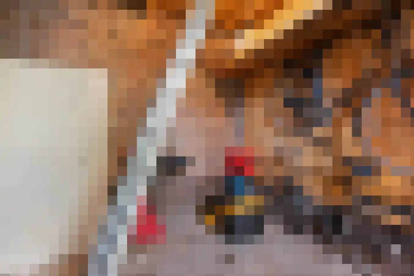 De Maten 2 Gramsbergen thumbnail 45