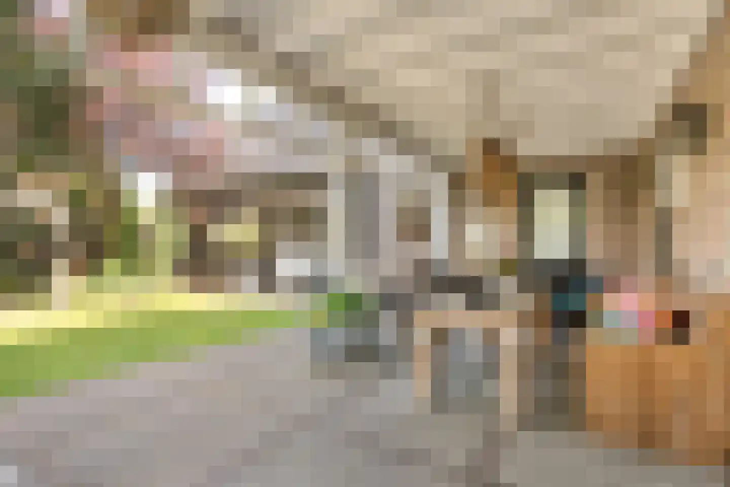 De Maten 2 Gramsbergen thumbnail 46