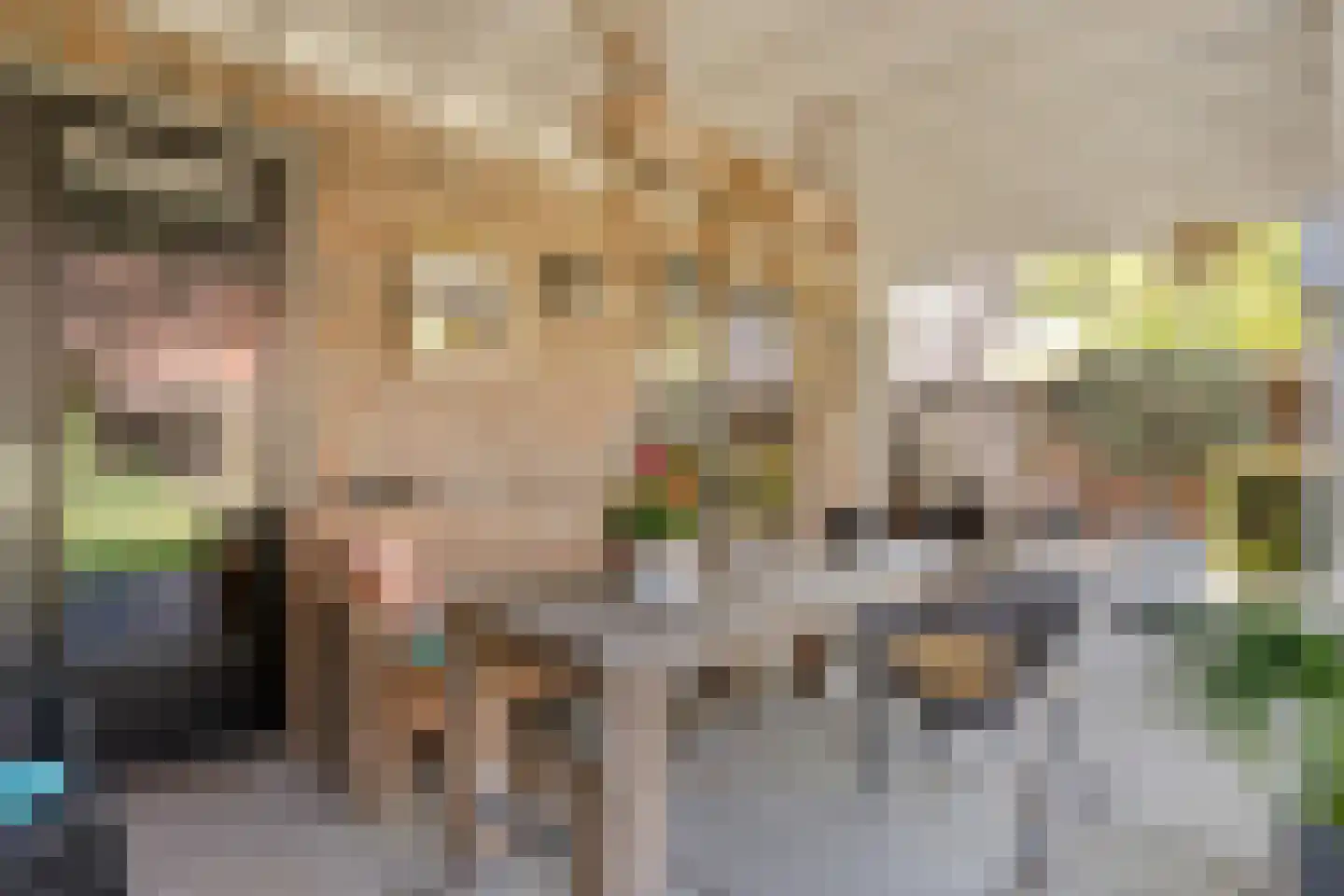 De Maten 2 Gramsbergen thumbnail 47