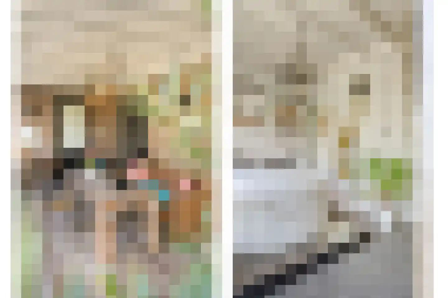 De Maten 2 Gramsbergen thumbnail 48