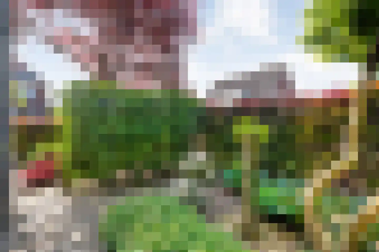 De Maten 2 Gramsbergen thumbnail 49