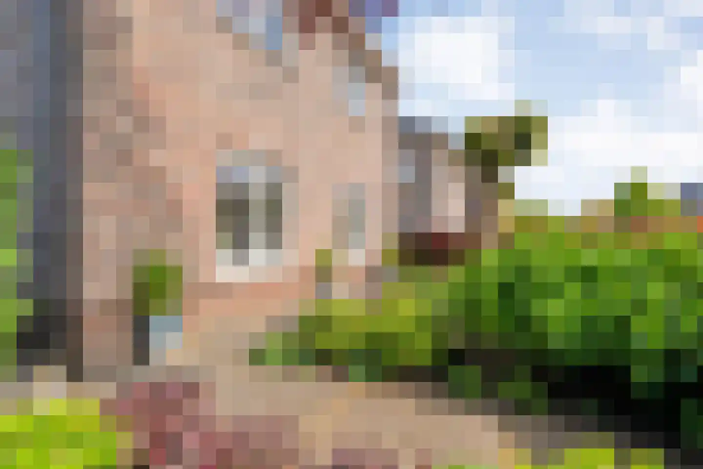 De Maten 2 Gramsbergen thumbnail 5