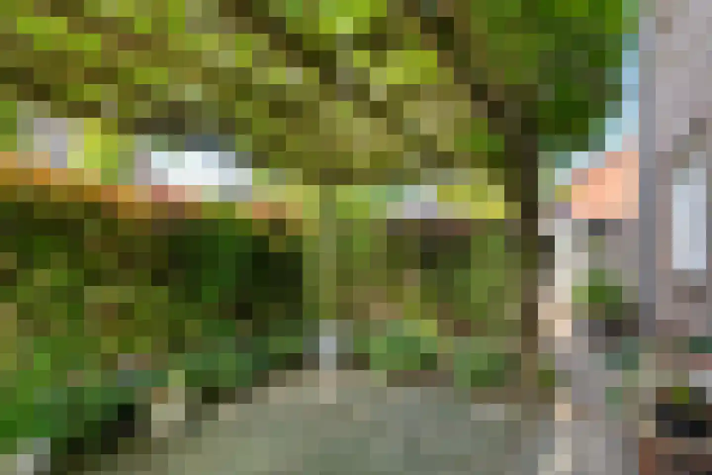 De Maten 2 Gramsbergen thumbnail 50