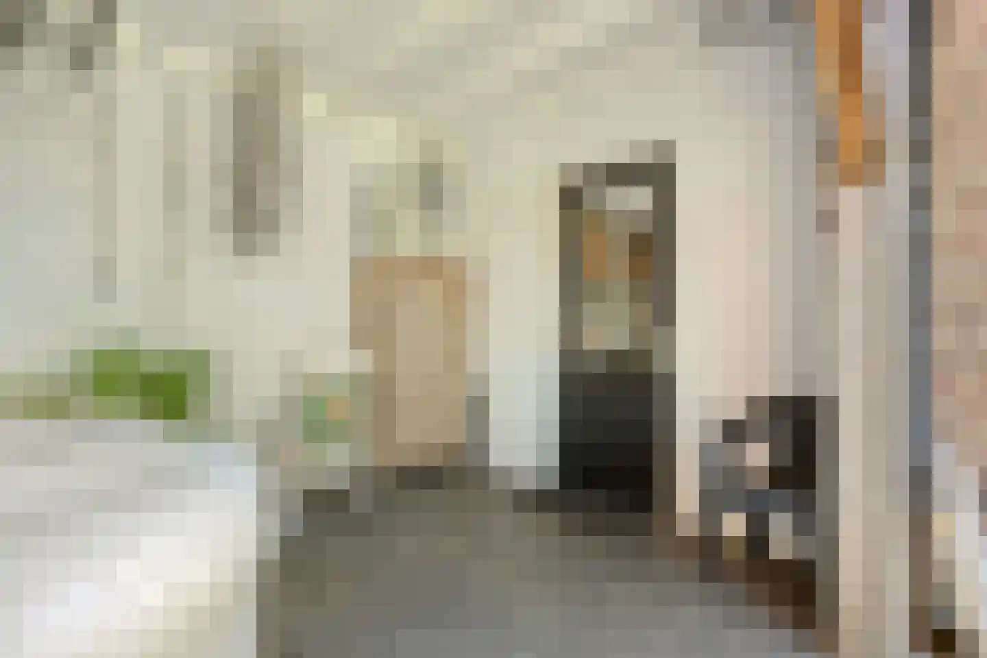 De Maten 2 Gramsbergen thumbnail 59