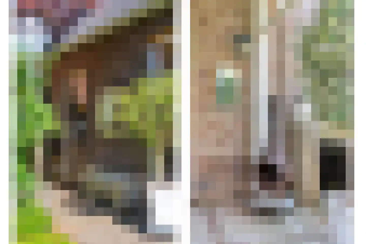 De Maten 2 Gramsbergen thumbnail 60
