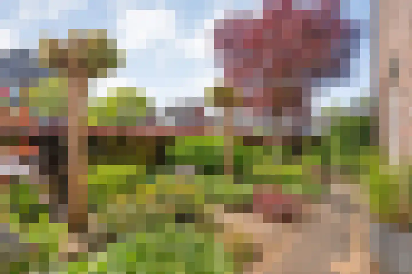 De Maten 2 Gramsbergen thumbnail 7