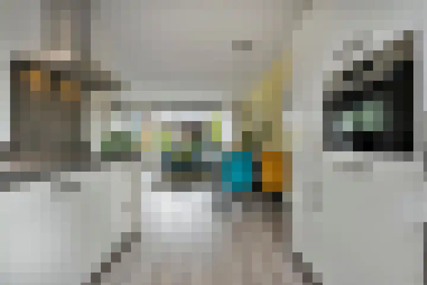 De Maten 21 Gramsbergen thumbnail 11