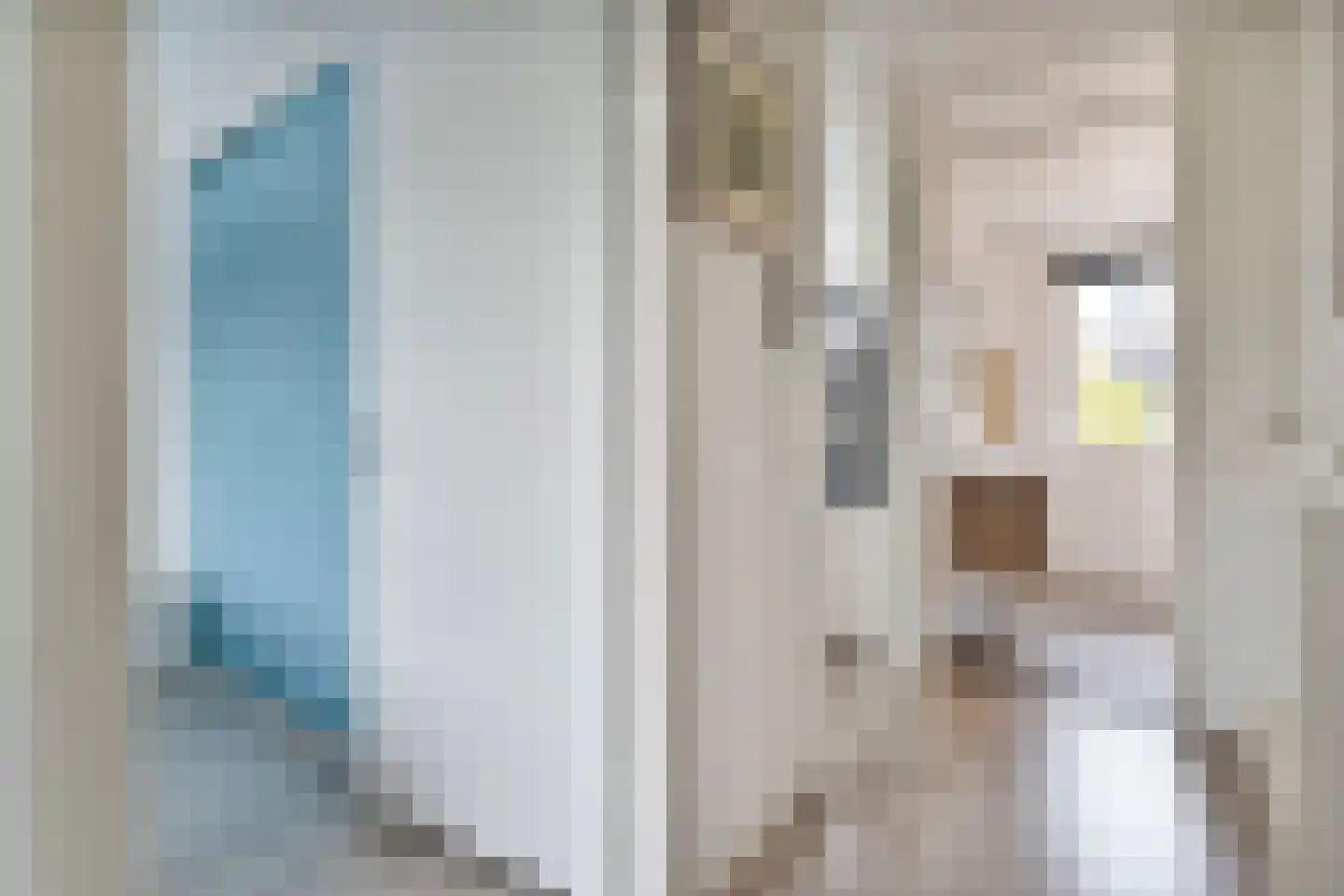 De Maten 21 Gramsbergen thumbnail 13