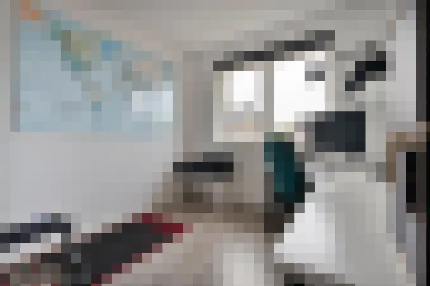 De Maten 21 Gramsbergen thumbnail 16