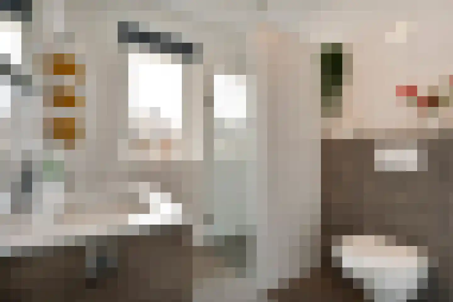 De Maten 21 Gramsbergen thumbnail 19