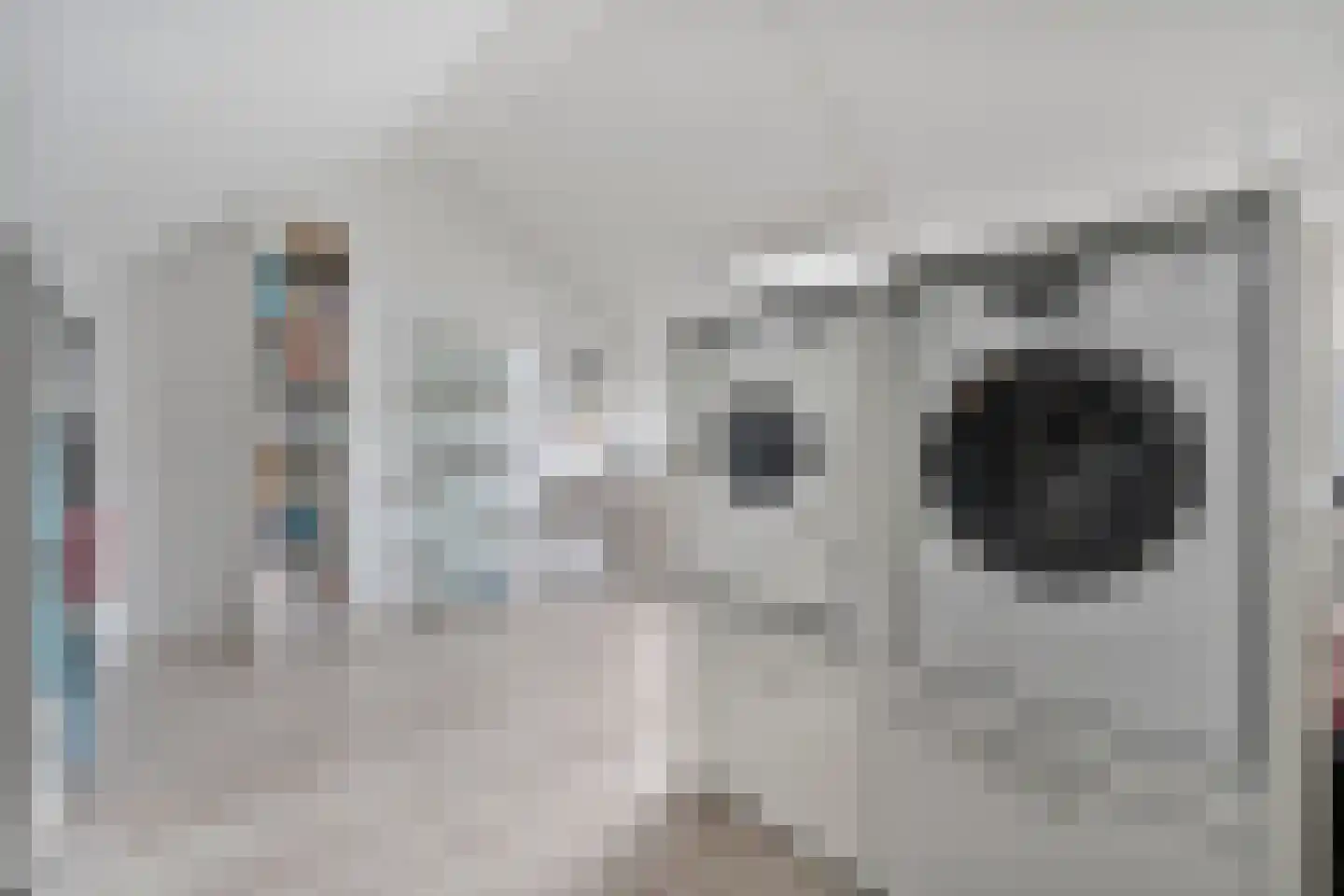 De Maten 21 Gramsbergen thumbnail 25
