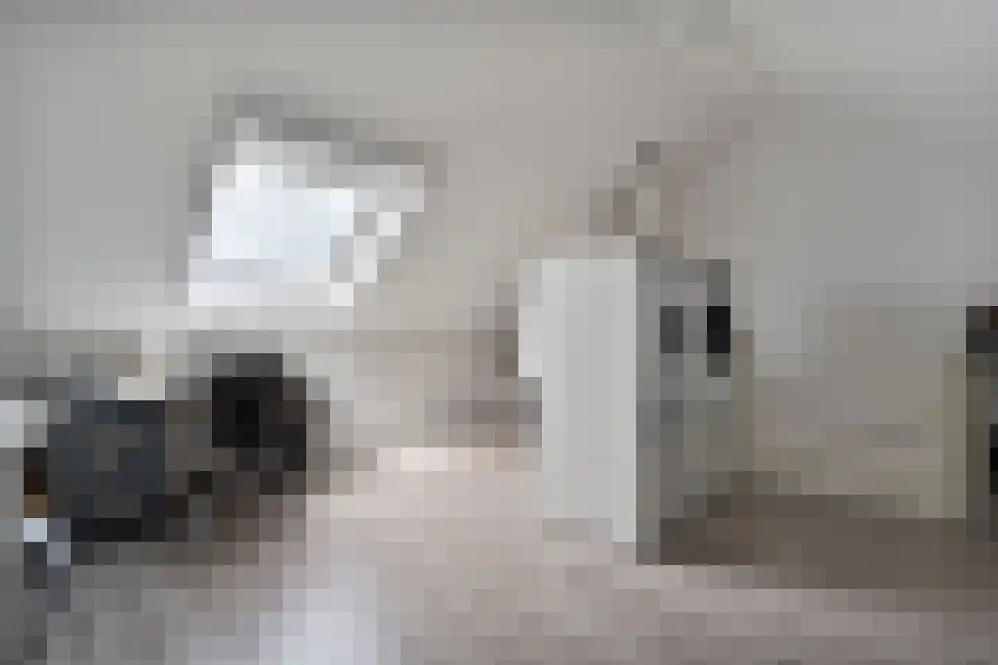 De Maten 21 Gramsbergen thumbnail 26