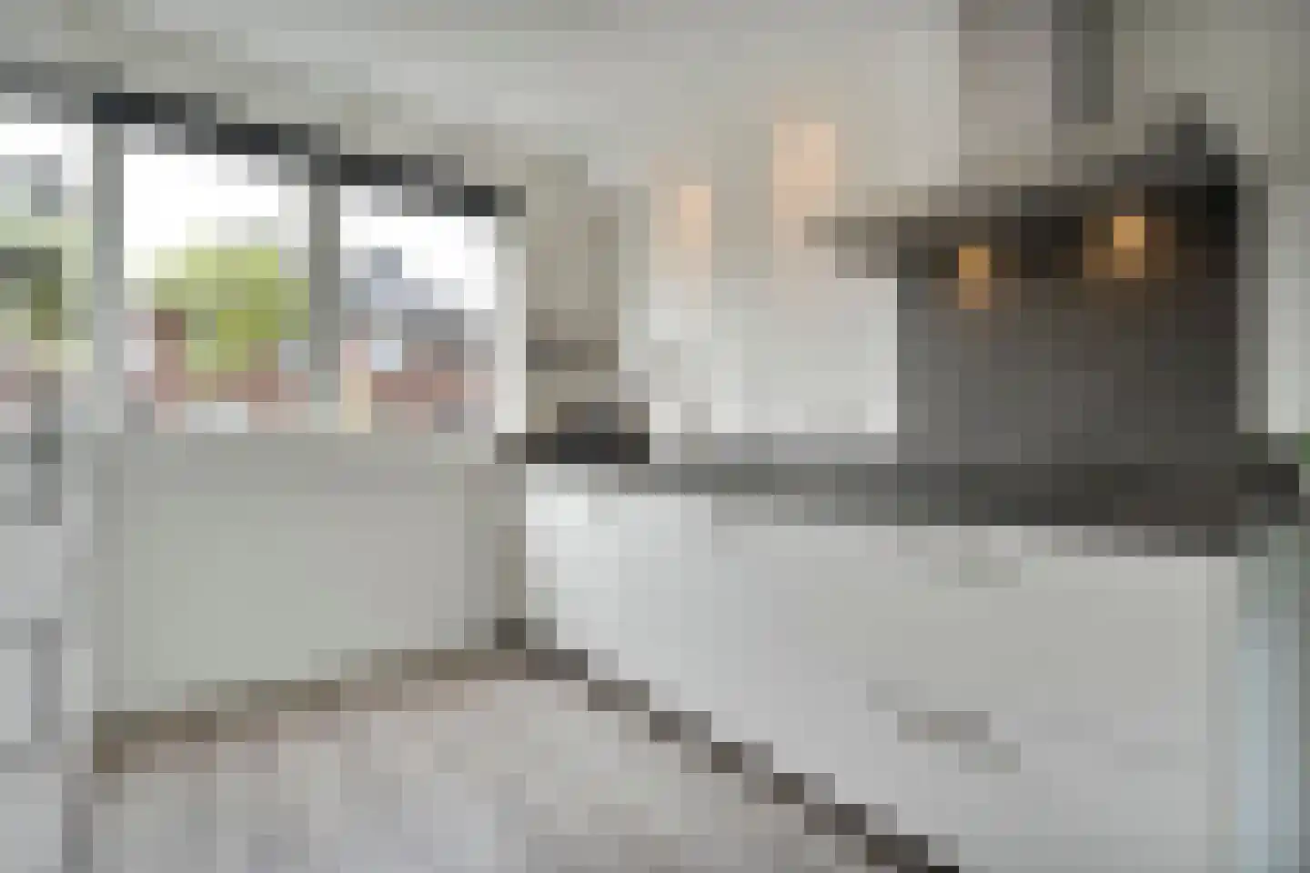 De Maten 21 Gramsbergen thumbnail 9