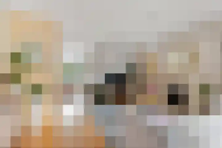 De Maten 30 Schoonebeek thumbnail 10