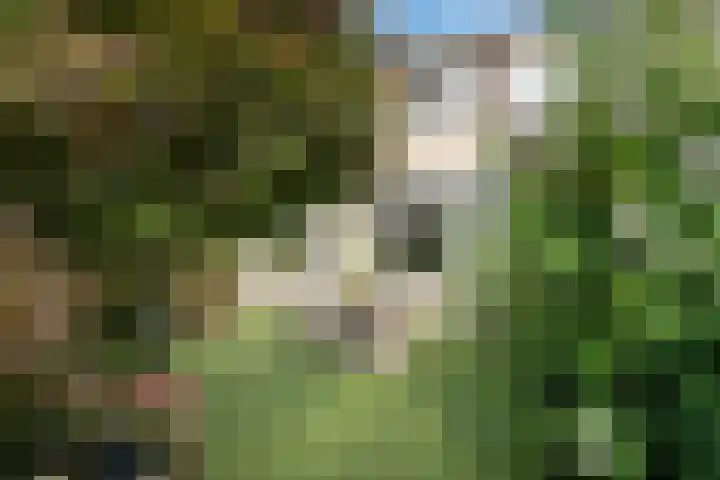 De Maten 30 Schoonebeek thumbnail 32