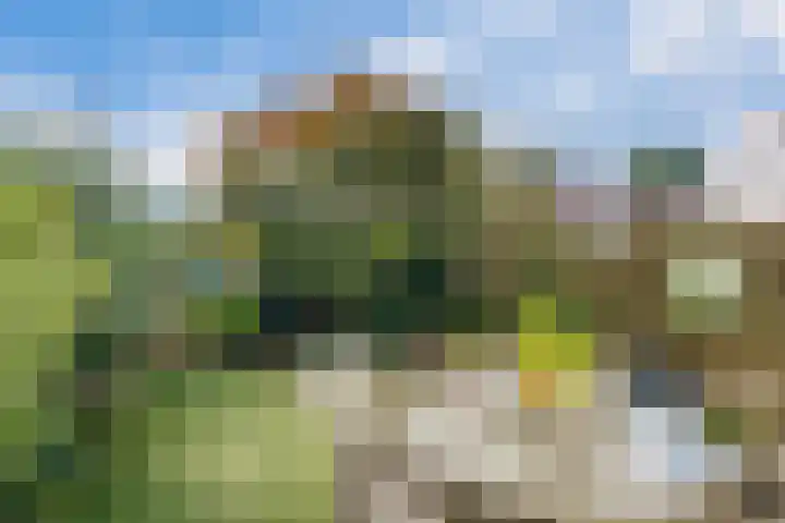 De Maten 30 Schoonebeek thumbnail 33