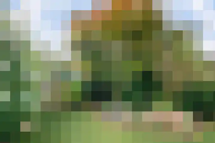 De Maten 30 Schoonebeek thumbnail 34