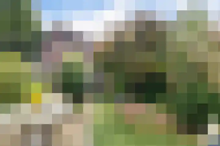 De Maten 30 Schoonebeek thumbnail 35