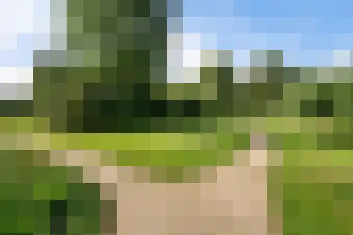 De Maten 30 Schoonebeek thumbnail 38