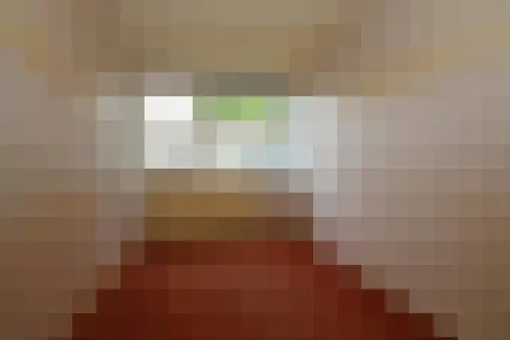 de Maten 41 Raalte thumbnail 11