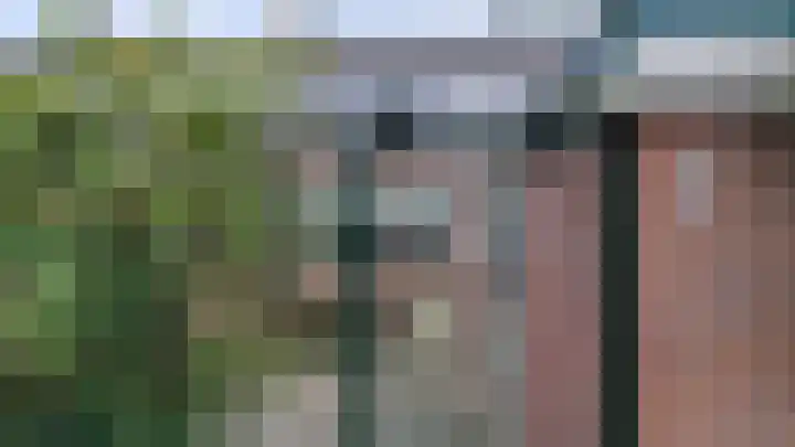 de Maten 41 Raalte thumbnail 30
