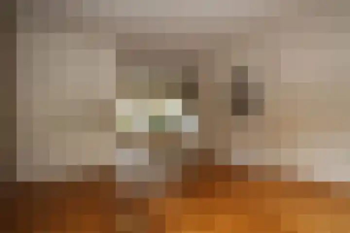 de Maten 41 Raalte thumbnail 6
