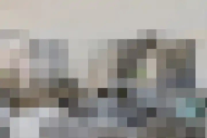 De Maten 51 Schoonebeek thumbnail 13