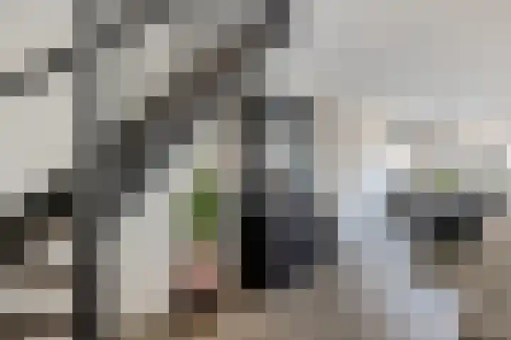 De Maten 51 Schoonebeek thumbnail 27