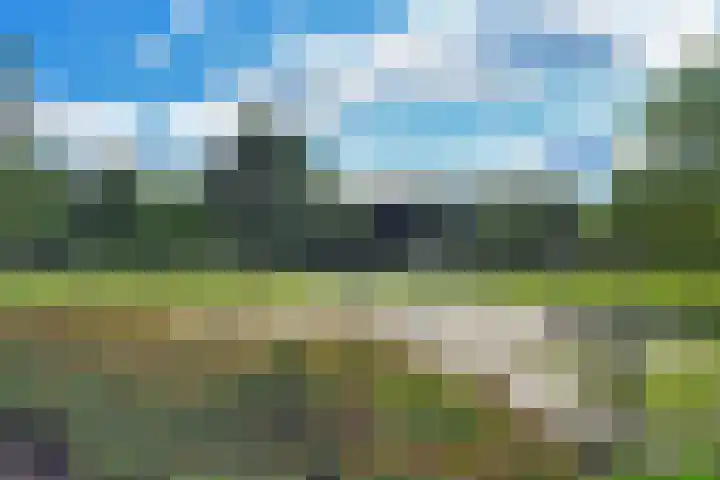 De Maten 51 Schoonebeek thumbnail 39