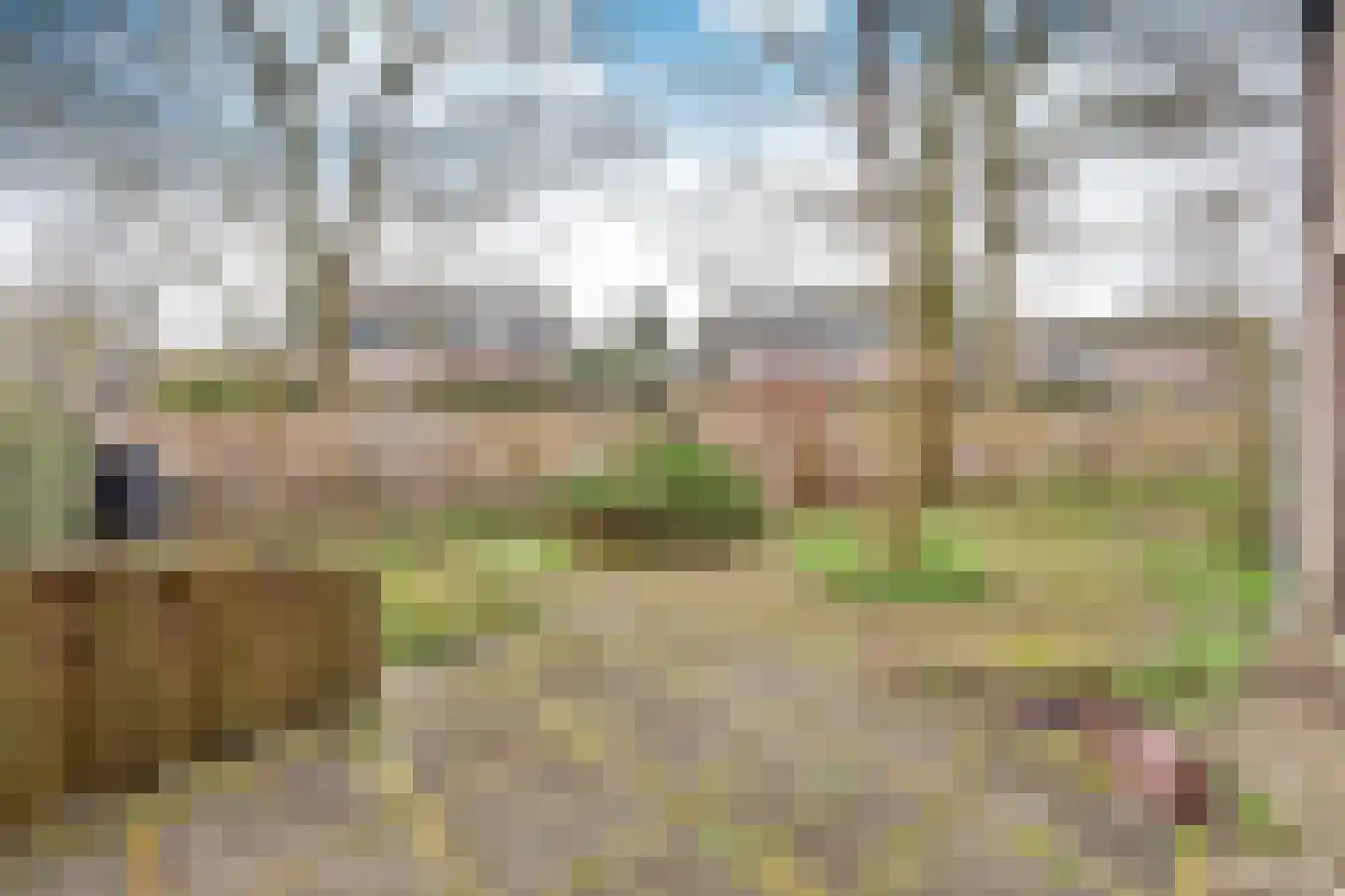 de Maten 7 Blaricum thumbnail 17