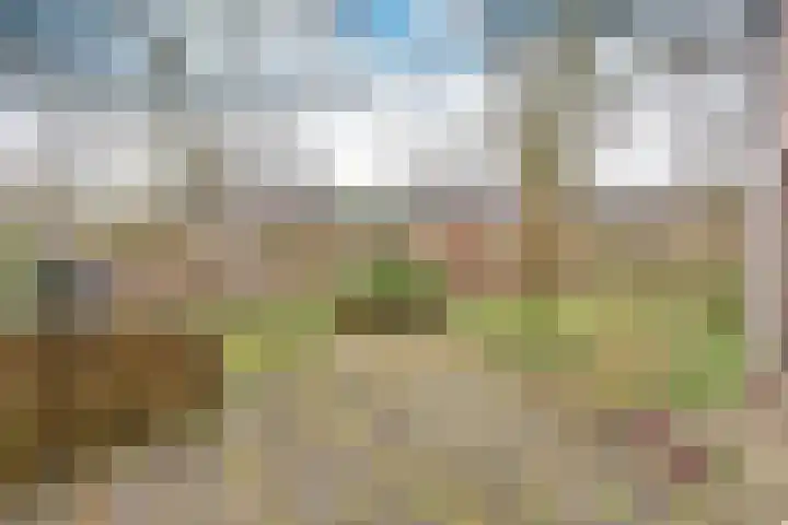 de Maten 7 Blaricum thumbnail 17