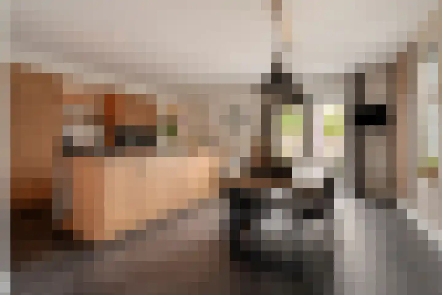 De Maten 9 Gramsbergen thumbnail 10