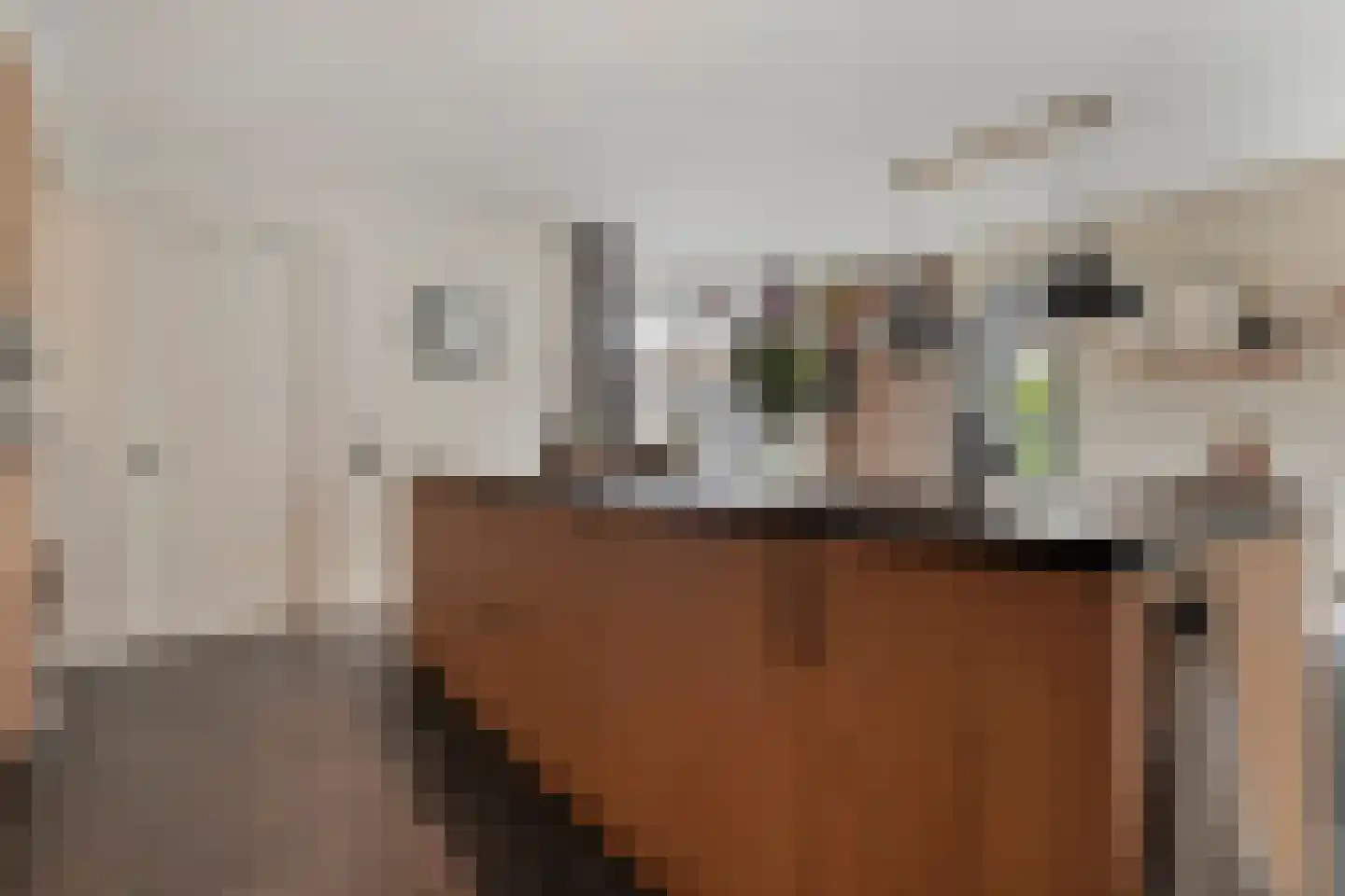 De Maten 9 Gramsbergen thumbnail 12