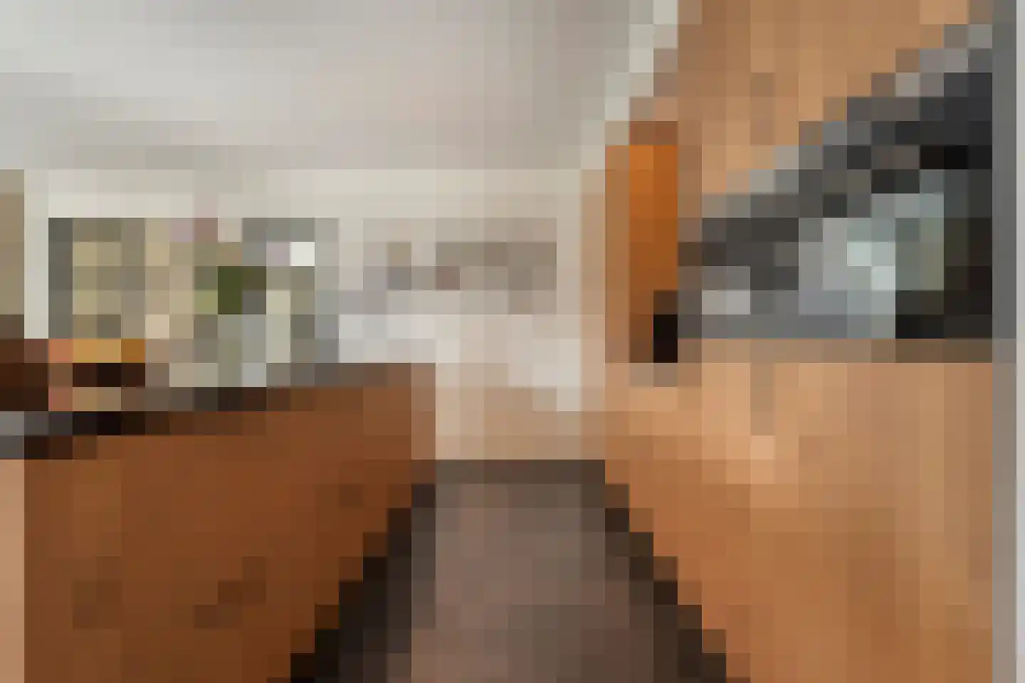 De Maten 9 Gramsbergen thumbnail 13