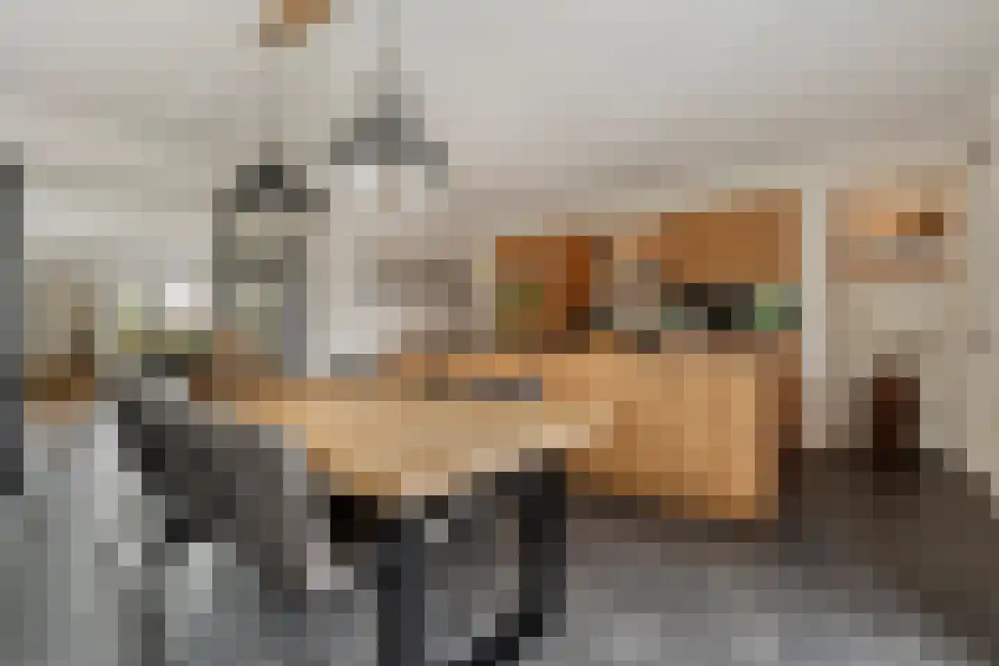 De Maten 9 Gramsbergen thumbnail 14