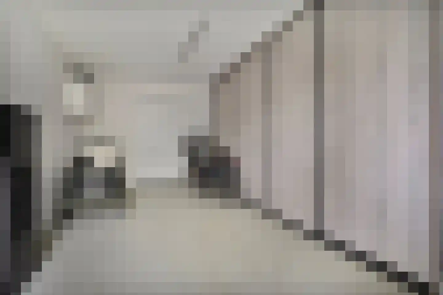 De Maten 9 Gramsbergen thumbnail 18