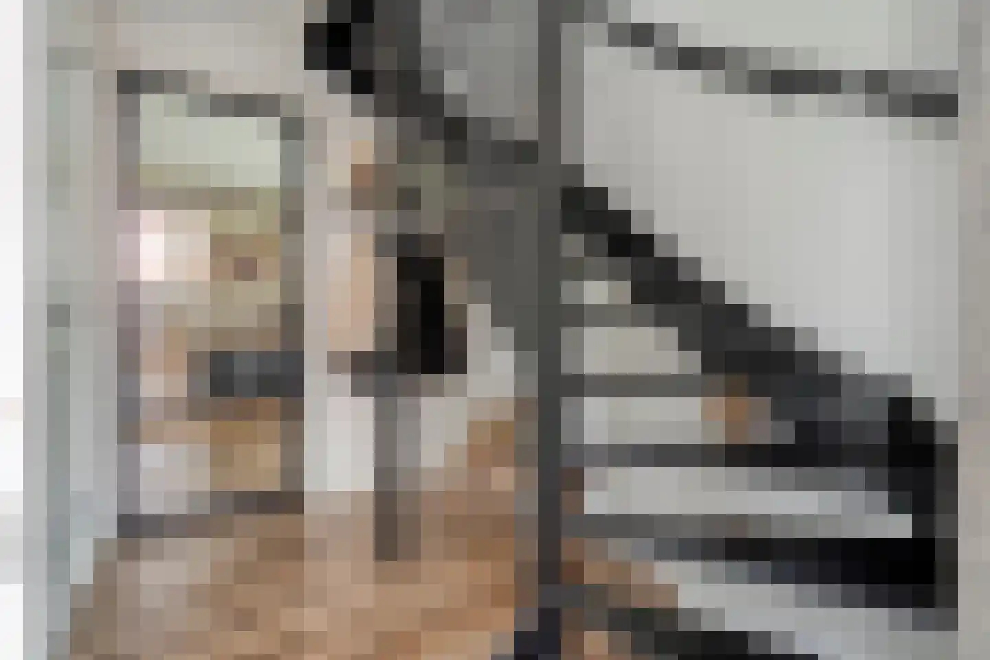De Maten 9 Gramsbergen thumbnail 20