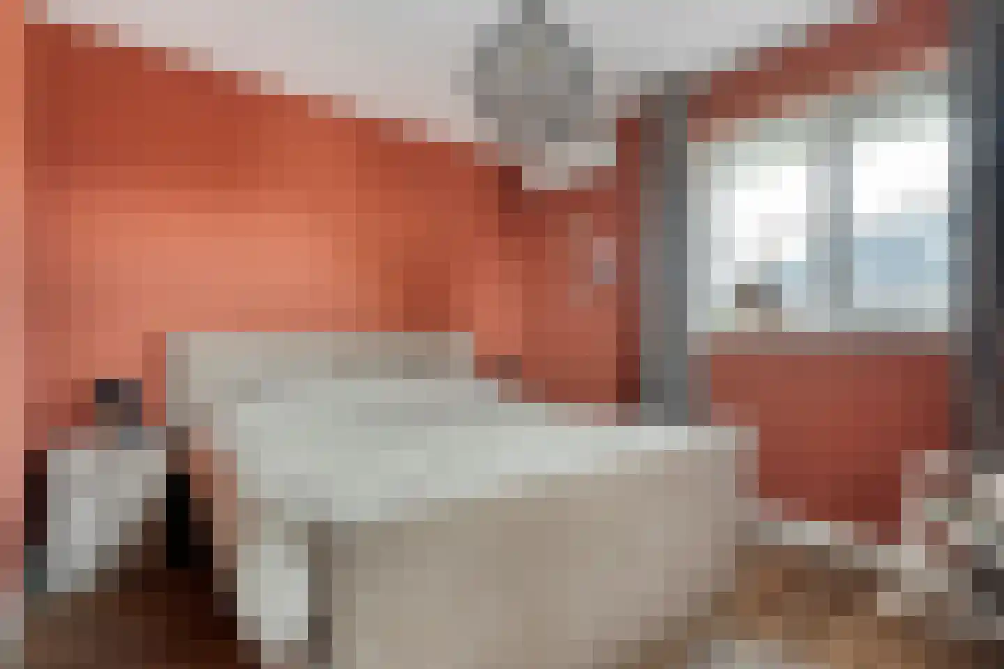 De Maten 9 Gramsbergen thumbnail 24