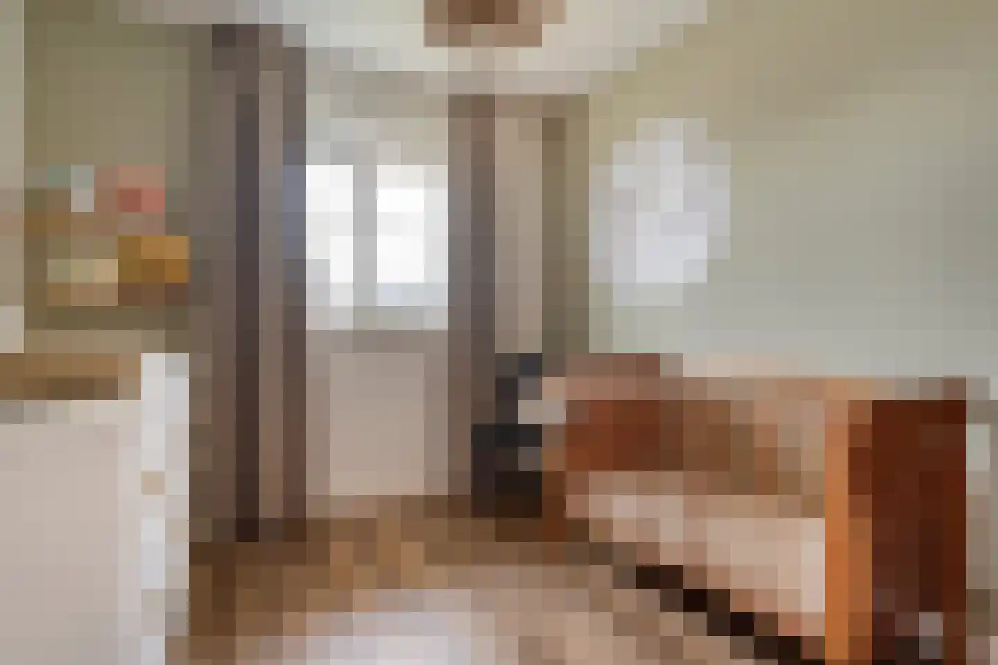 De Maten 9 Gramsbergen thumbnail 26
