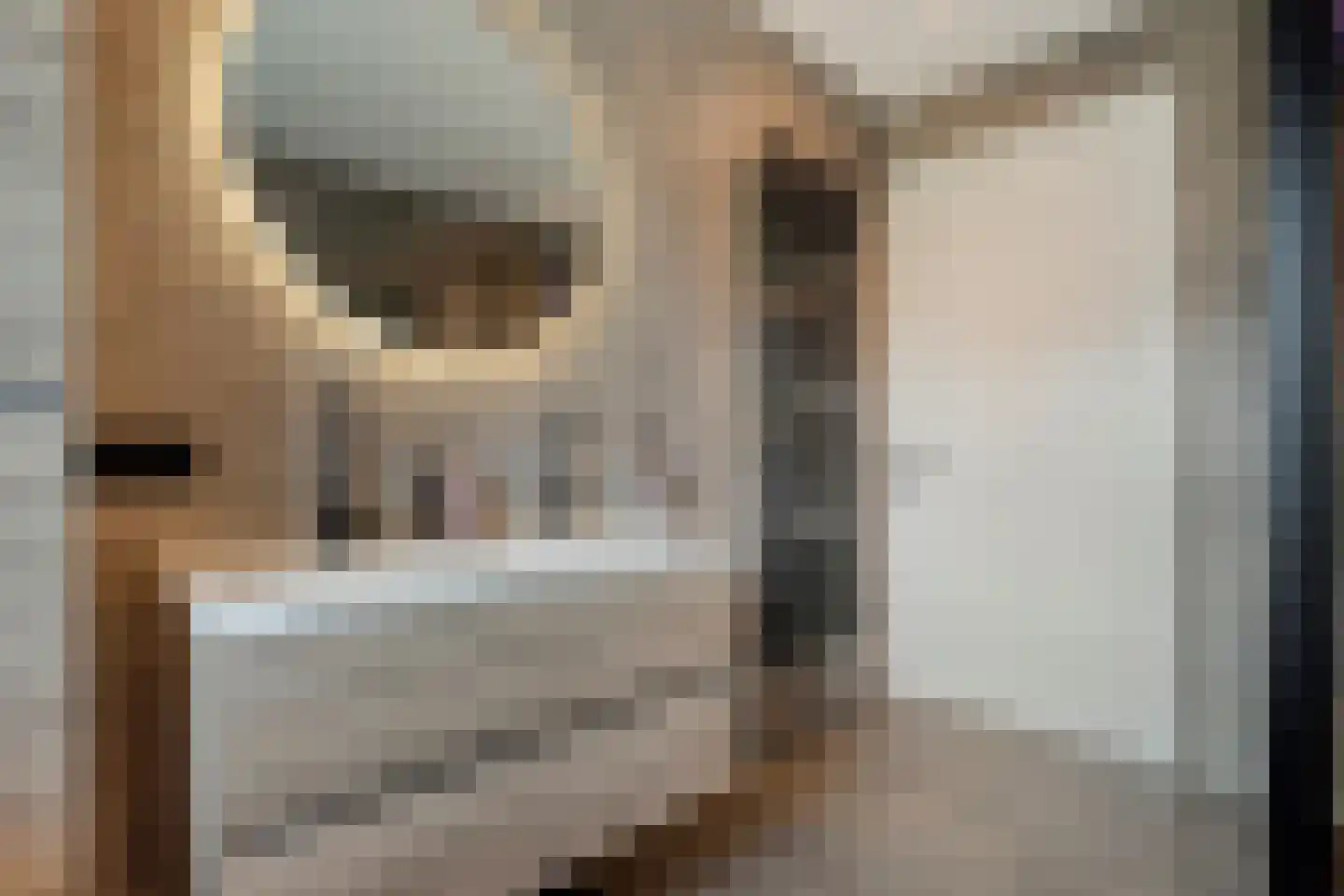 De Maten 9 Gramsbergen thumbnail 32