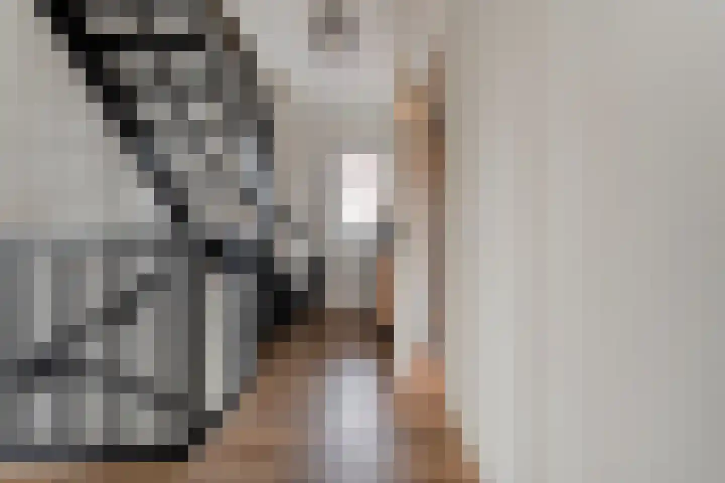 De Maten 9 Gramsbergen thumbnail 34