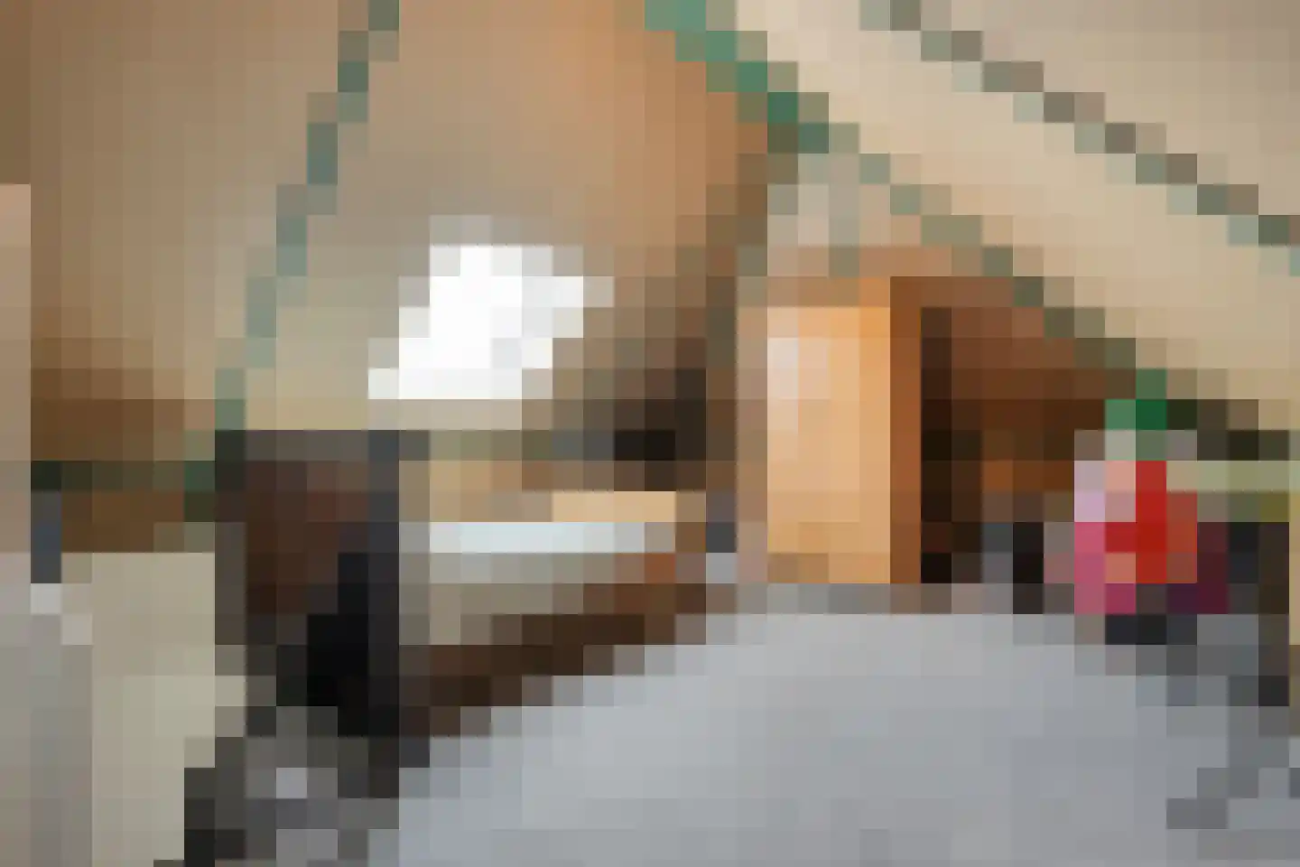 De Maten 9 Gramsbergen thumbnail 35