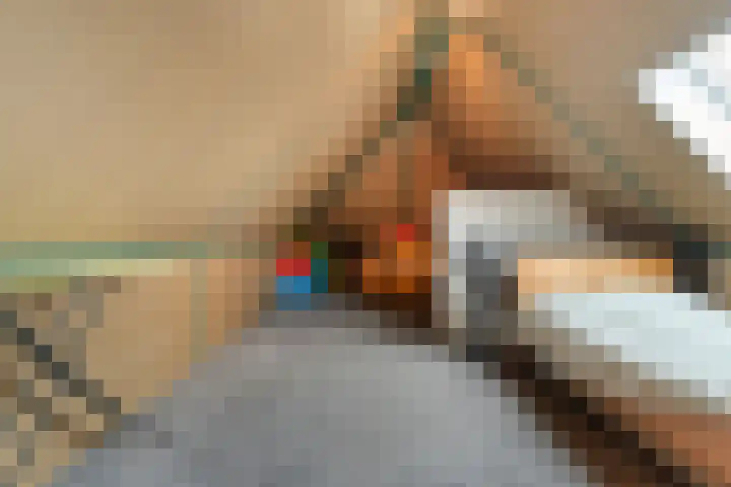 De Maten 9 Gramsbergen thumbnail 36