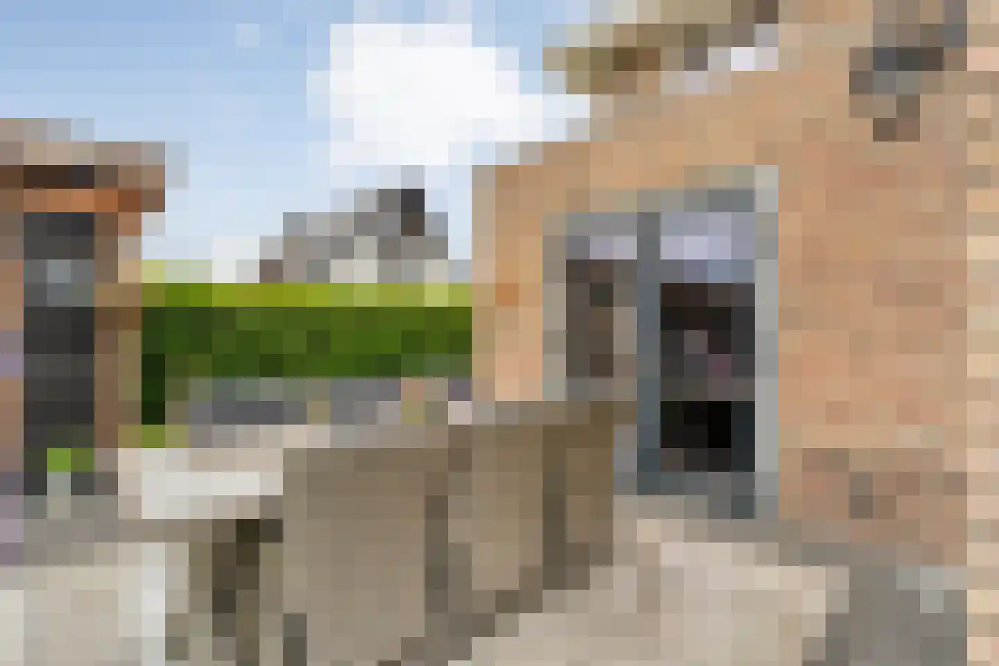 De Maten 9 Gramsbergen thumbnail 39