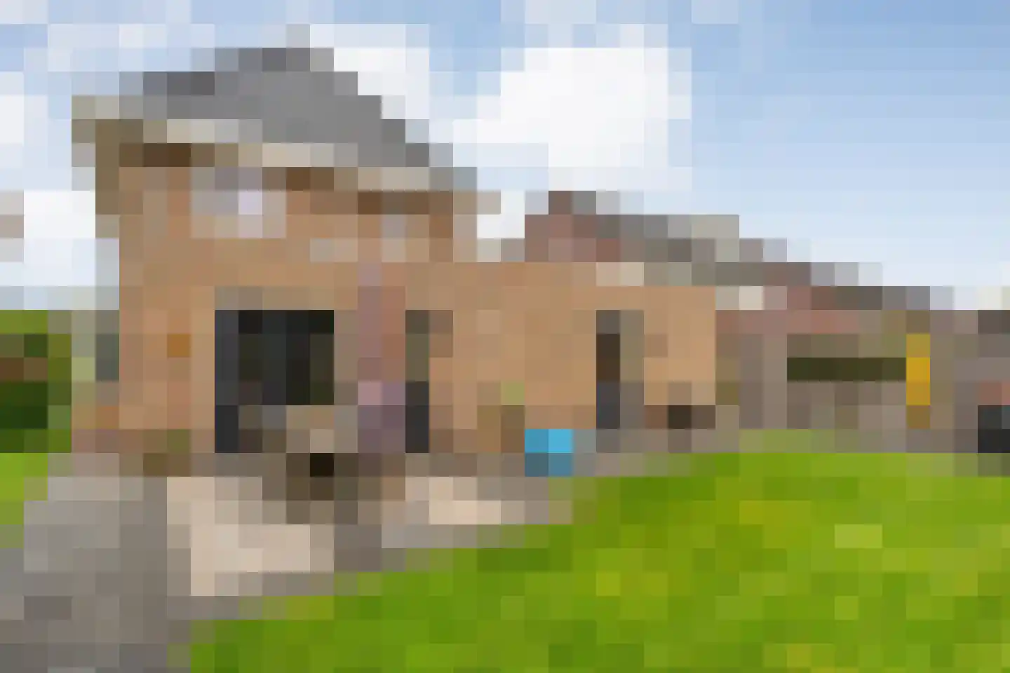 De Maten 9 Gramsbergen thumbnail 43